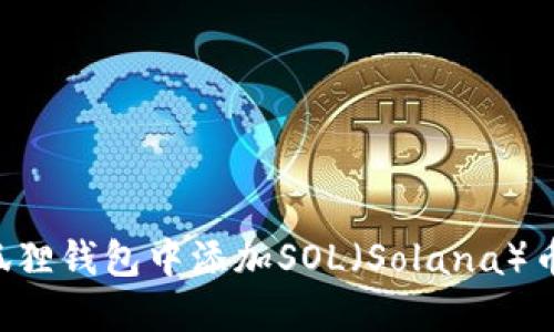 如何在小狐狸钱包中添加SOL（Solana）币：实用指南