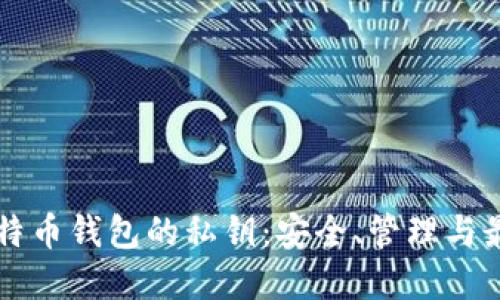 掌握比特币钱包的私钥：安全、管理与最佳实践