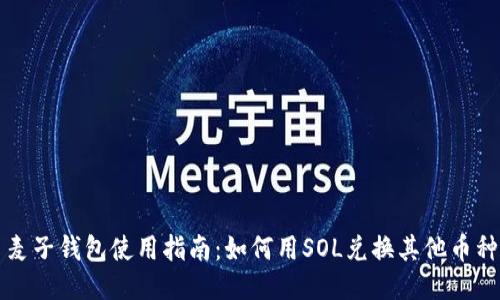 麦子钱包使用指南：如何用SOL兑换其他币种