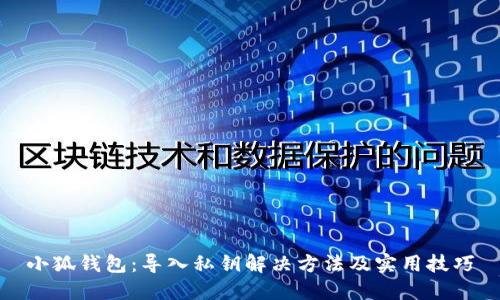 小狐钱包：导入私钥解决方法及实用技巧