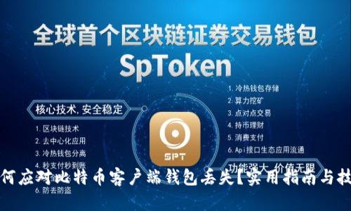 如何应对比特币客户端钱包丢失？实用指南与技巧