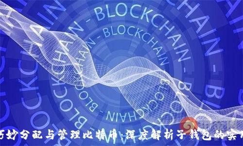   
如何巧妙分配与管理比特币：深度解析子钱包的实用技巧