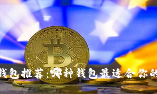 USDT钱包推荐：哪种钱包最适合你的需求？