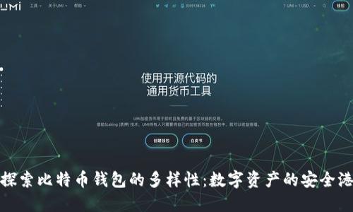 探索比特币钱包的多样性：数字资产的安全港