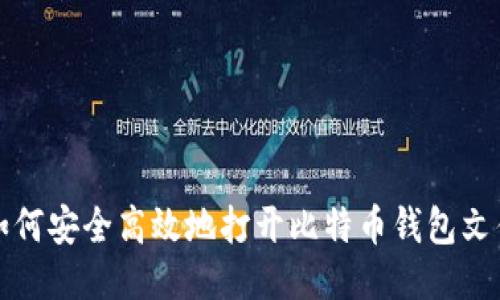 如何安全高效地打开比特币钱包文件