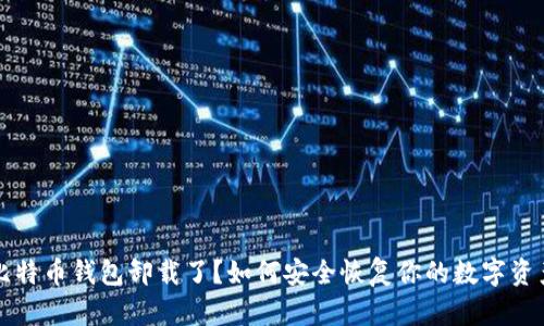 比特币钱包卸载了？如何安全恢复你的数字资产