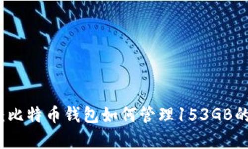 掌握未来财富：比特币钱包如何管理153GB的数据存储需求