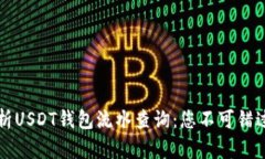 全面解析USDT钱包流水查询：您不可错过的指南