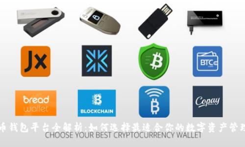 比特币钱包平台全解析：如何选择最适合你的数字资产管理工具