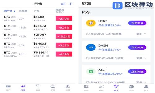 全面解析：俄罗斯比特币钱包的现状与未来