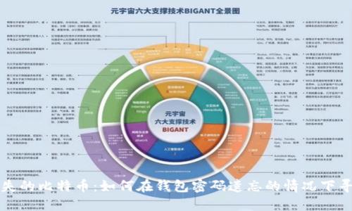 找回丢失的比特币：如何在钱包密码遗忘的情况下寻回资产