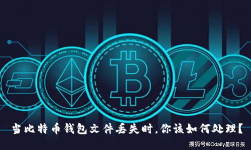 当比特币钱包文件丢失时，你该如何处理？