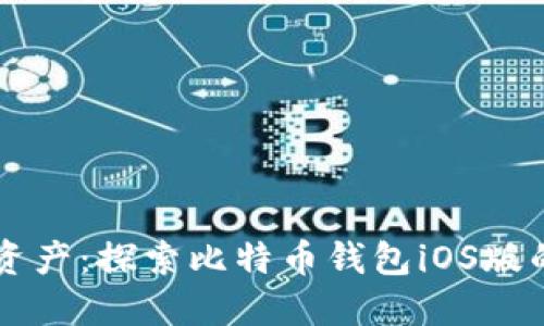掌握数字资产：探索比特币钱包iOS版的全面指南