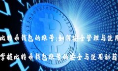 比特币钱包的账号：如何安全管理与使用掌握比
