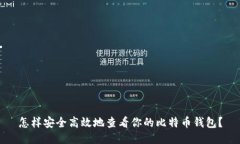 怎样安全高效地查看你的比特币钱包？