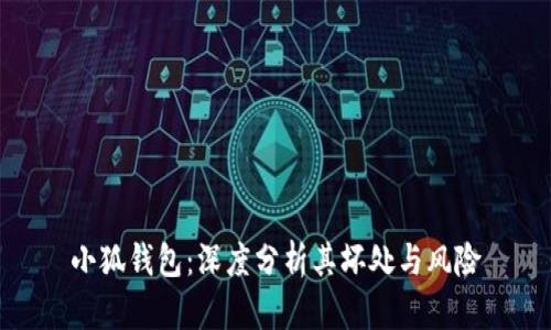 小狐钱包：深度分析其坏处与风险