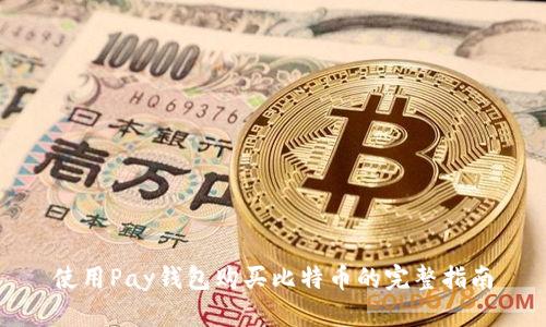 使用Pay钱包购买比特币的完整指南