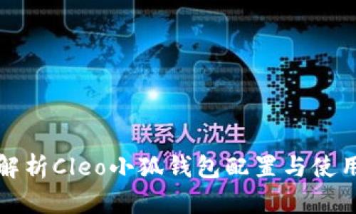 全面解析Cleo小狐钱包配置与使用技巧