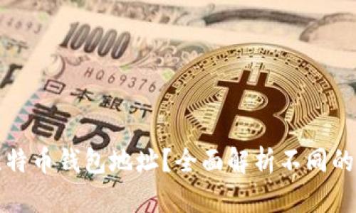 如何查看比特币钱包地址？全面解析不同的方法与技巧