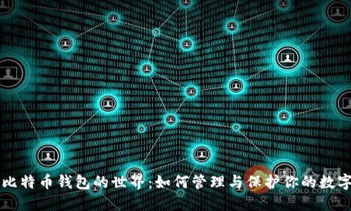 解密比特币钱包的世界：如何管理与保护你的数字资产