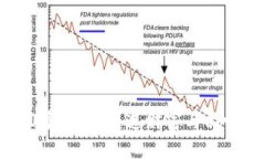 金狐狸的100多钱包：塑造财富与品味的完美结合