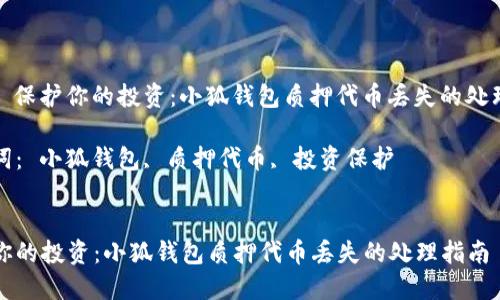 题目： 保护你的投资：小狐钱包质押代币丢失的处理指南

关键词： 小狐钱包, 质押代币, 投资保护


保护你的投资：小狐钱包质押代币丢失的处理指南