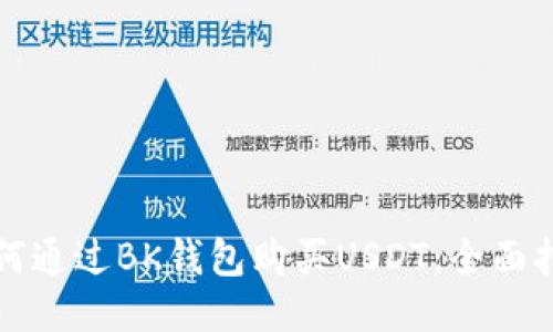 如何通过BK钱包购买USDT：全面指南