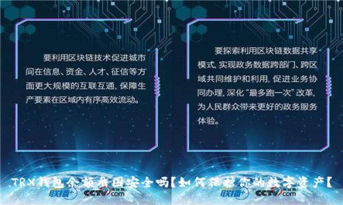 TRX钱包余额截图安全吗？如何保护你的数字资产？