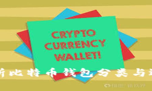 全面解析比特币钱包分类与选择指南
