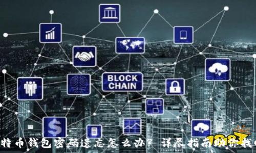   
比特币钱包密码遗忘怎么办? 详尽指南助你找回!